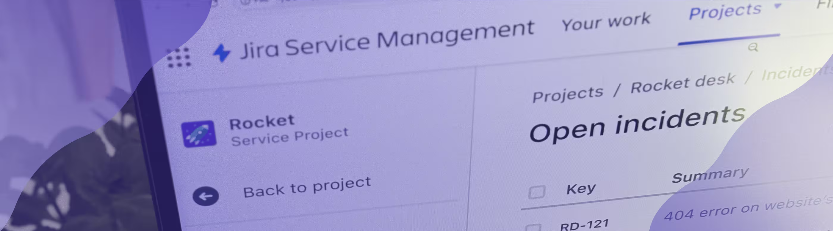 Monitor screen showing JSM environment